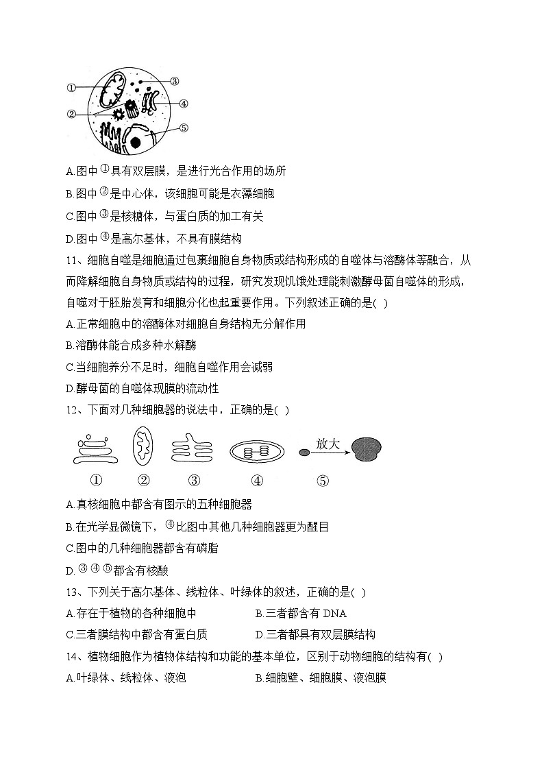 3.2细胞器之间的分工合作课时一同步练习2023-2024学年高一上学期生物人教版必修1第3页
