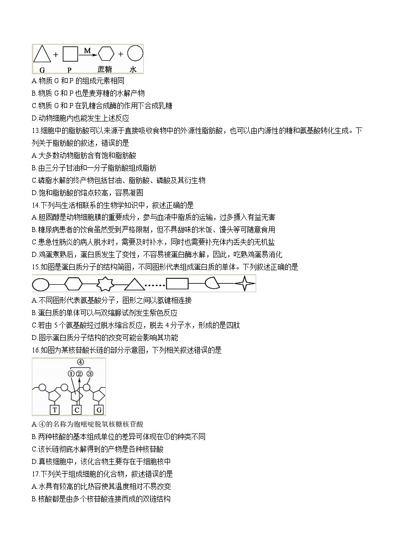广东省深圳市联盟校2023-2024学年高一生物上学期11月期中考试试卷（Word版附答案）03