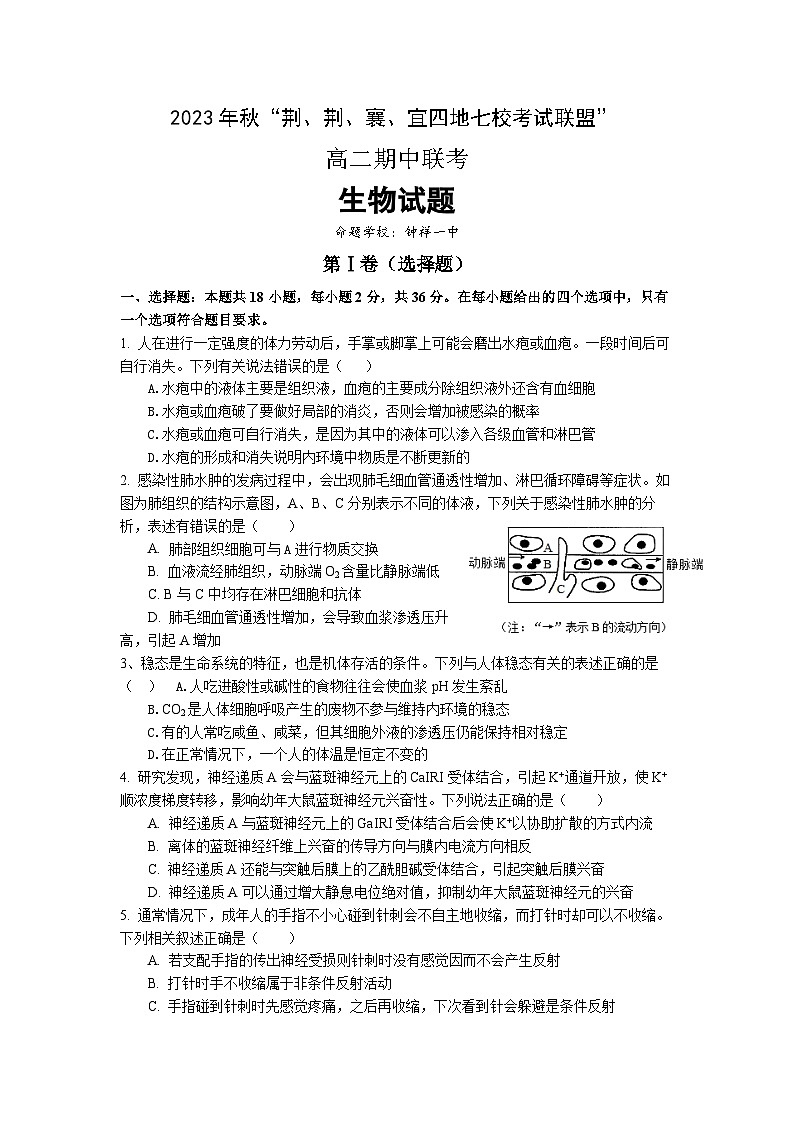 湖北省荆荆襄宜七校考试联盟2023-2024学年高二生物上学期期中联考试题（Word版附答案）01
