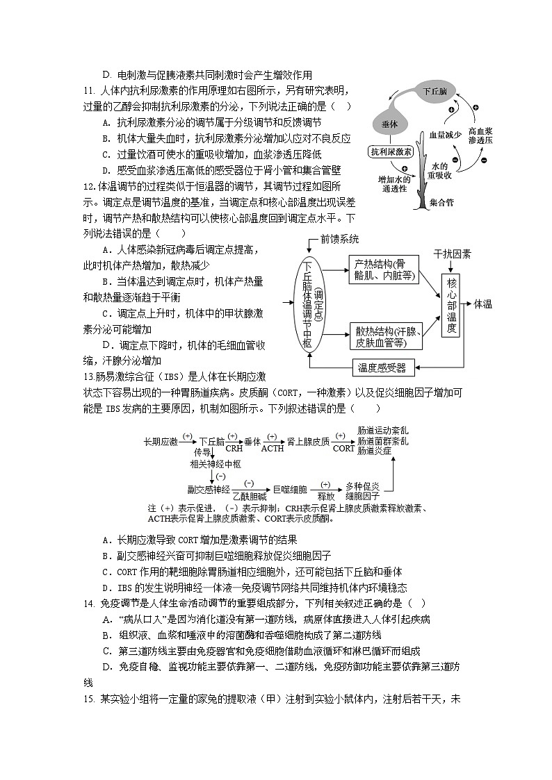 湖北省荆荆襄宜七校考试联盟2023-2024学年高二生物上学期期中联考试题（Word版附答案）03