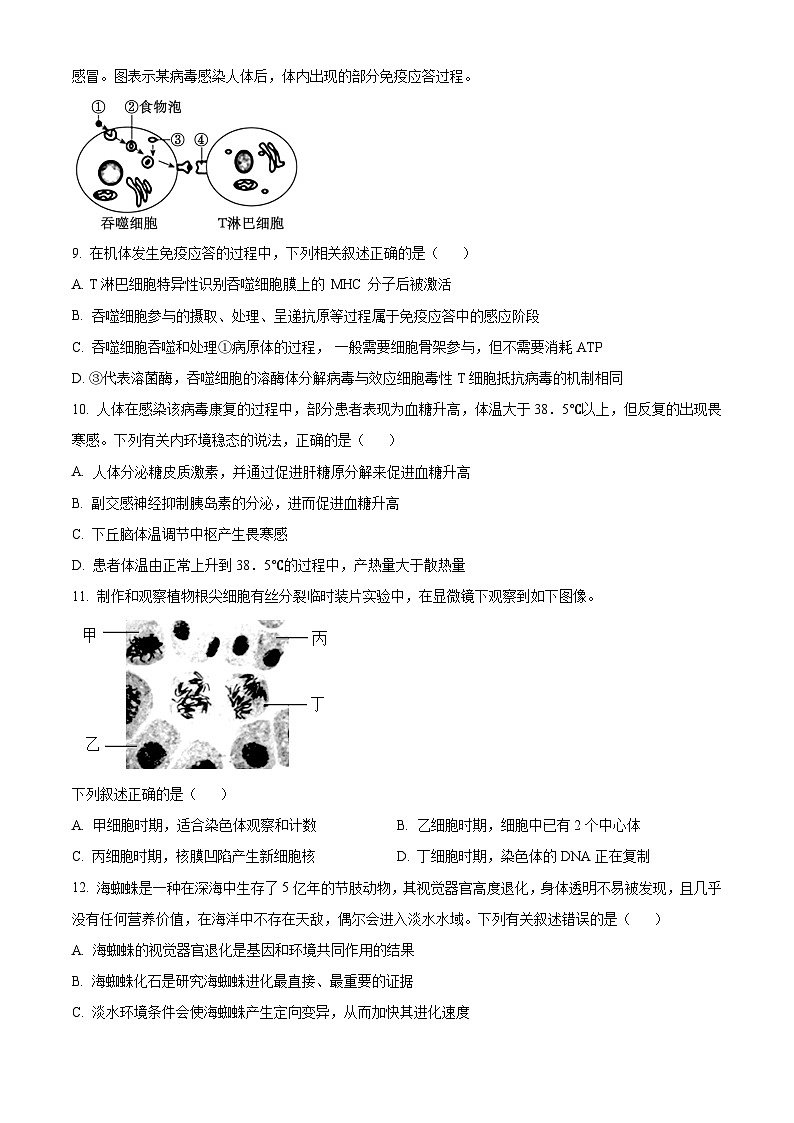浙江省温州市新力量联盟2023-2024学年高二生物上学期期中联考试题（Word版附解析）03