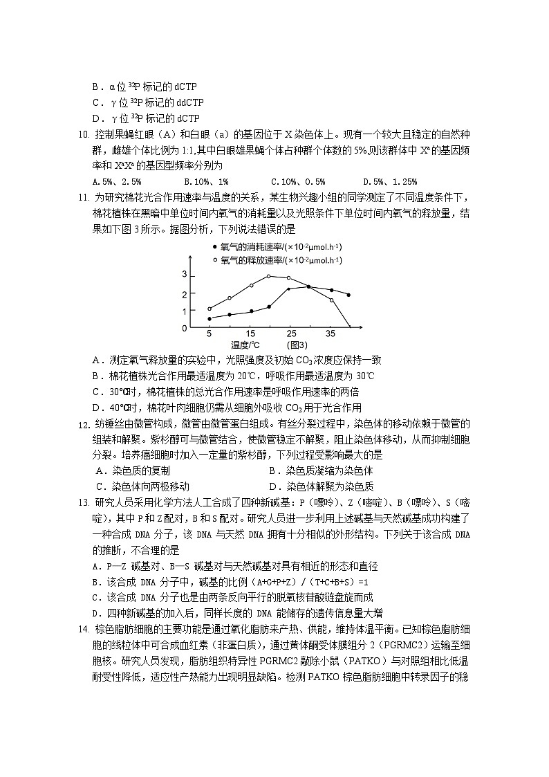 广东省汕头市金山中学、广州六中、佛山一中、中山一中2024届高三生物上学期四校期中联考试题（Word版附答案）第3页