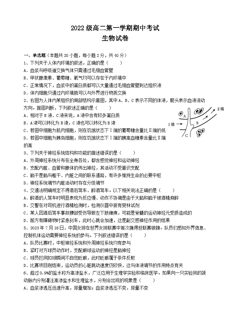 广东省汕头市金山中学2023-2024学年高二生物上学期期中考试试题（Word版附答案）01