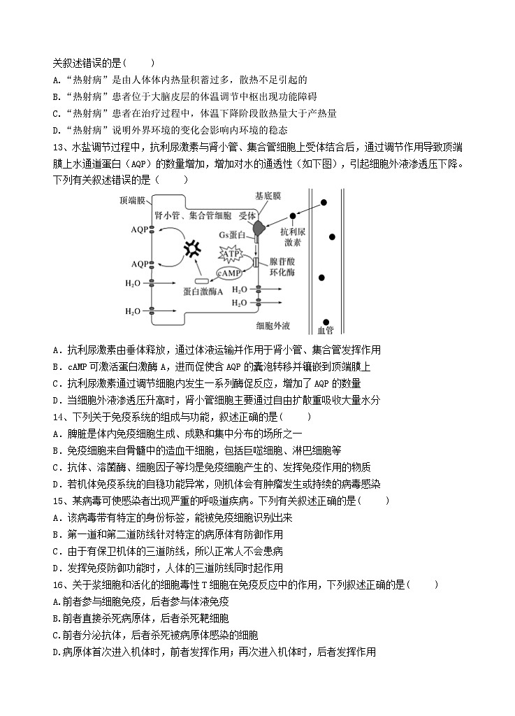 广东省汕头市金山中学2023-2024学年高二生物上学期期中考试试题（Word版附答案）03