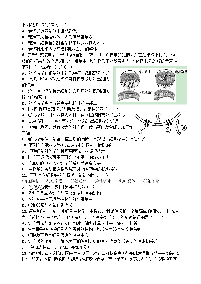 广东省汕头市金山中学2023-2024学年高一生物上学期期中考试试题（Word版附答案）02