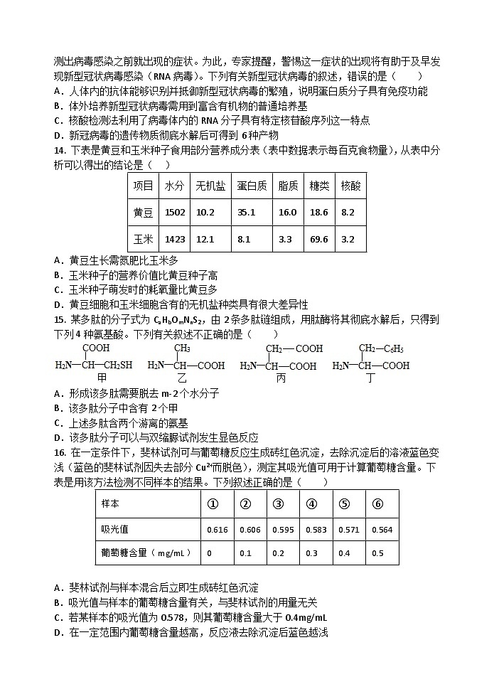 广东省汕头市金山中学2023-2024学年高一生物上学期期中考试试题（Word版附答案）03