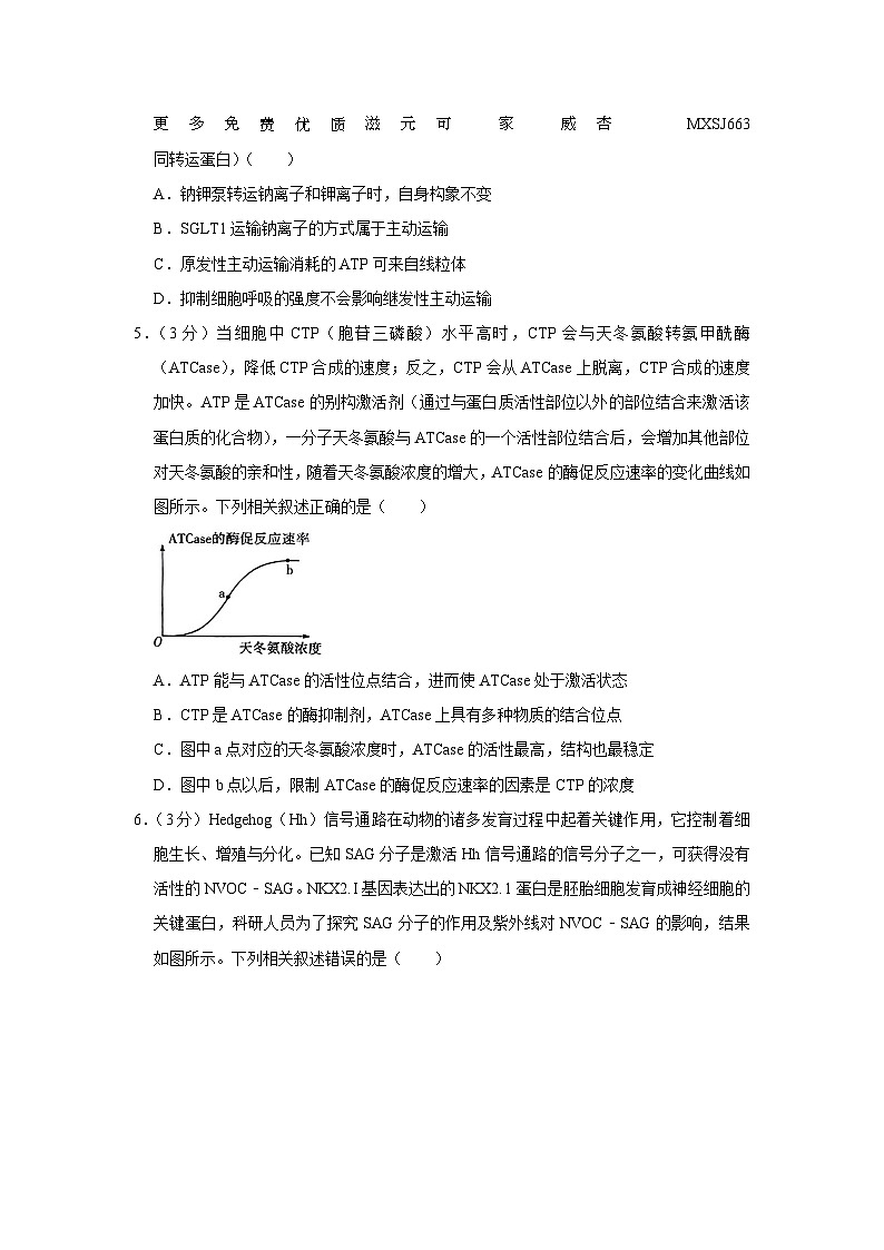 安徽省卓越县中联盟2023-2024学年高三上学期期中生物试卷02