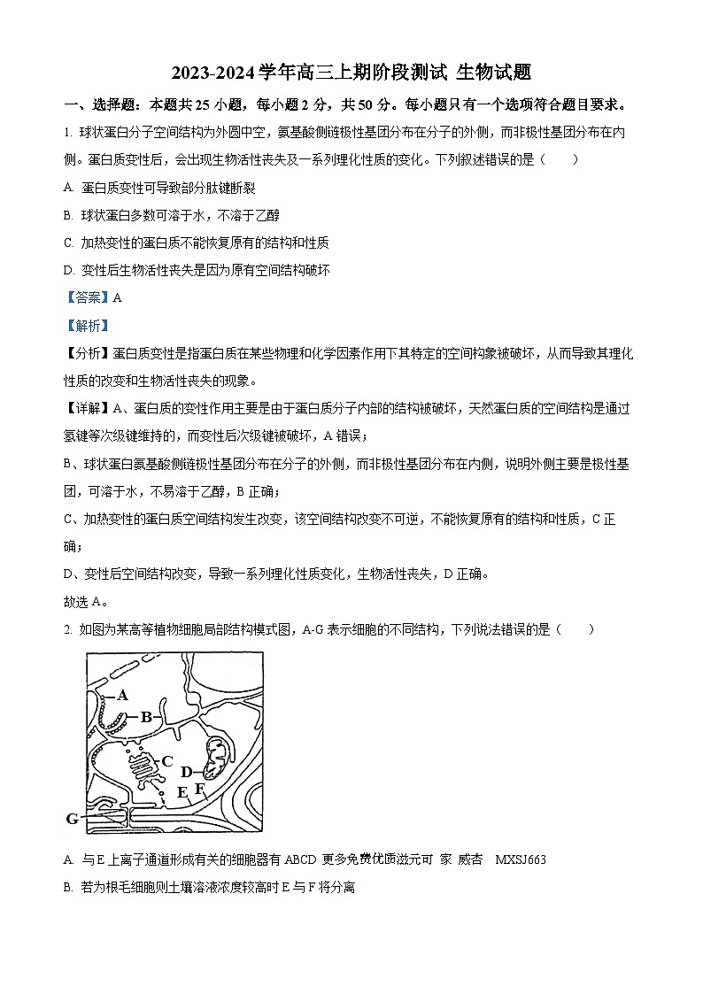 河南省洛阳市栾川县一中2023-2024学年高三11月阶段考试生物试题（解析版）第1页