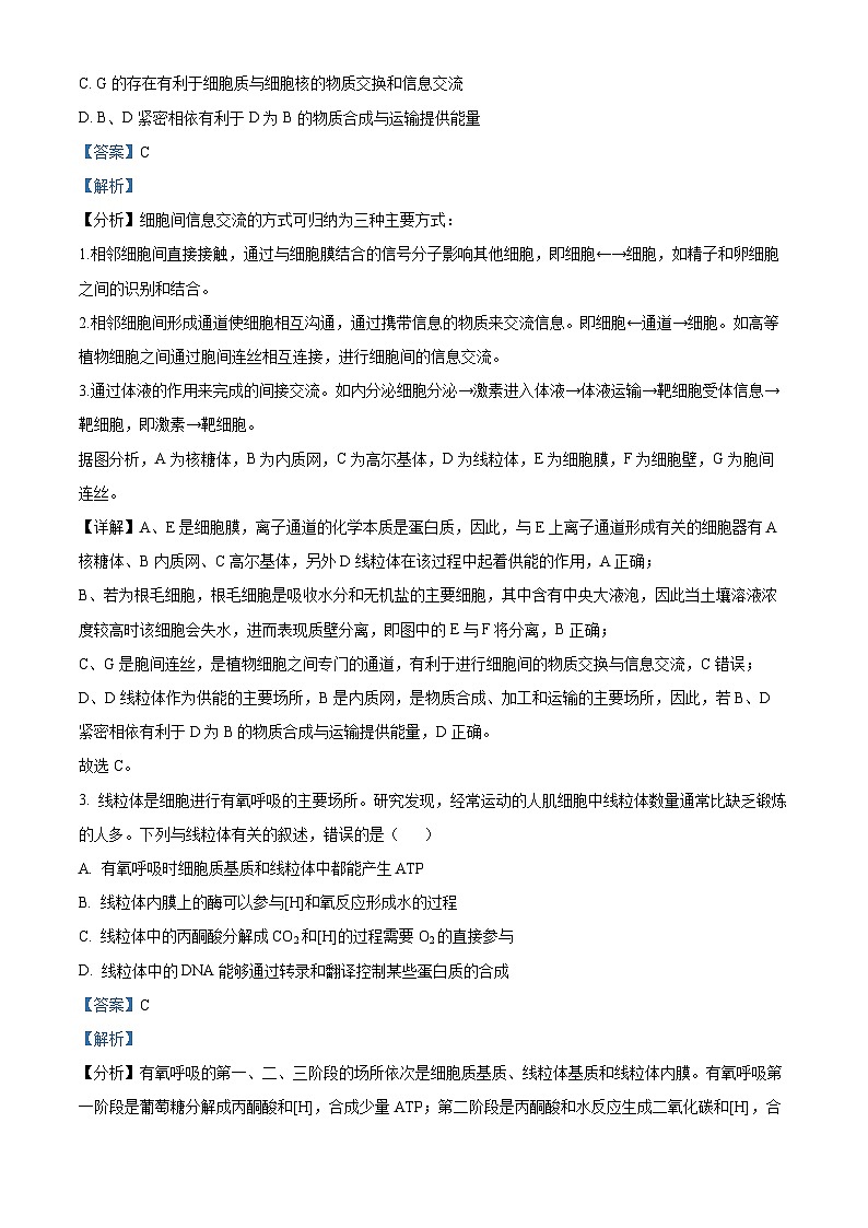 河南省洛阳市栾川县一中2023-2024学年高三11月阶段考试生物试题（解析版）第2页