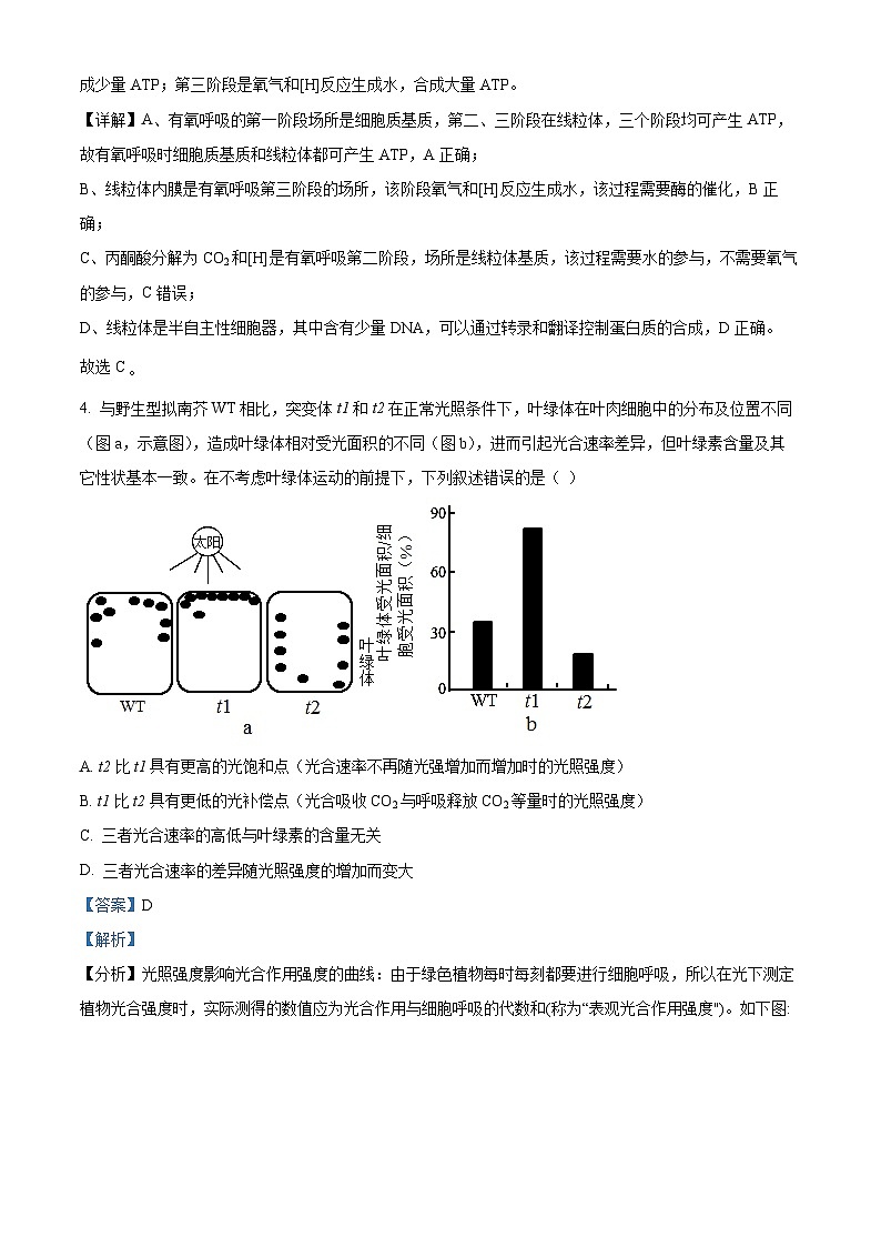 河南省洛阳市栾川县一中2023-2024学年高三11月阶段考试生物试题（解析版）第3页