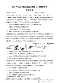 湖北省云学名校联盟2023-2024学年高二上学期期中联考生物试题