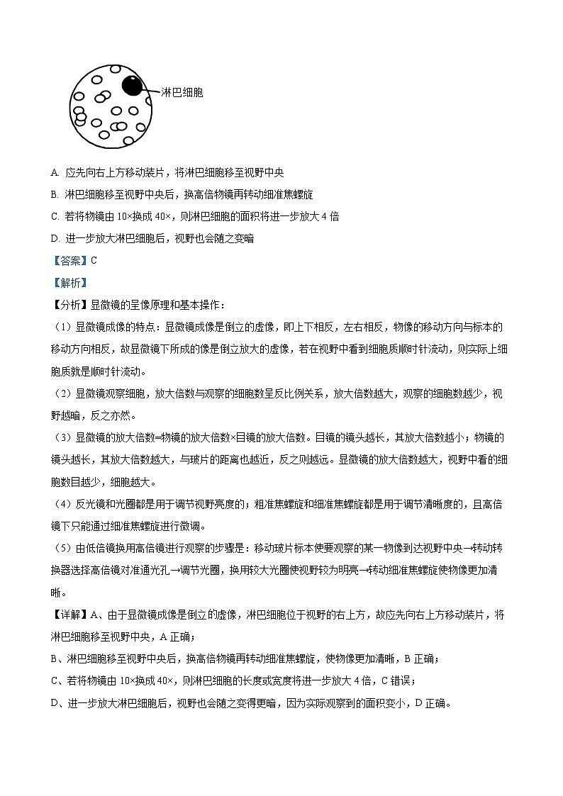 湖南省常德市一中2023-2024学年高一上学期期中生物试题（解析版）第2页