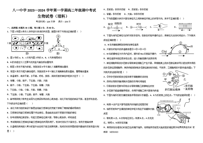 新疆生产建设兵团第二师八一中学2023-2024学年高二上学期期中考试生物（理科）试题第1页