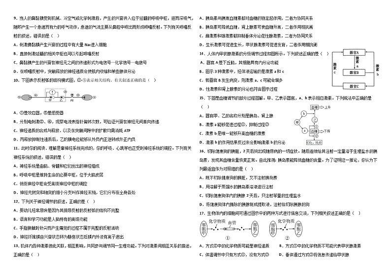 新疆生产建设兵团第二师八一中学2023-2024学年高二上学期期中考试生物（理科）试题第2页