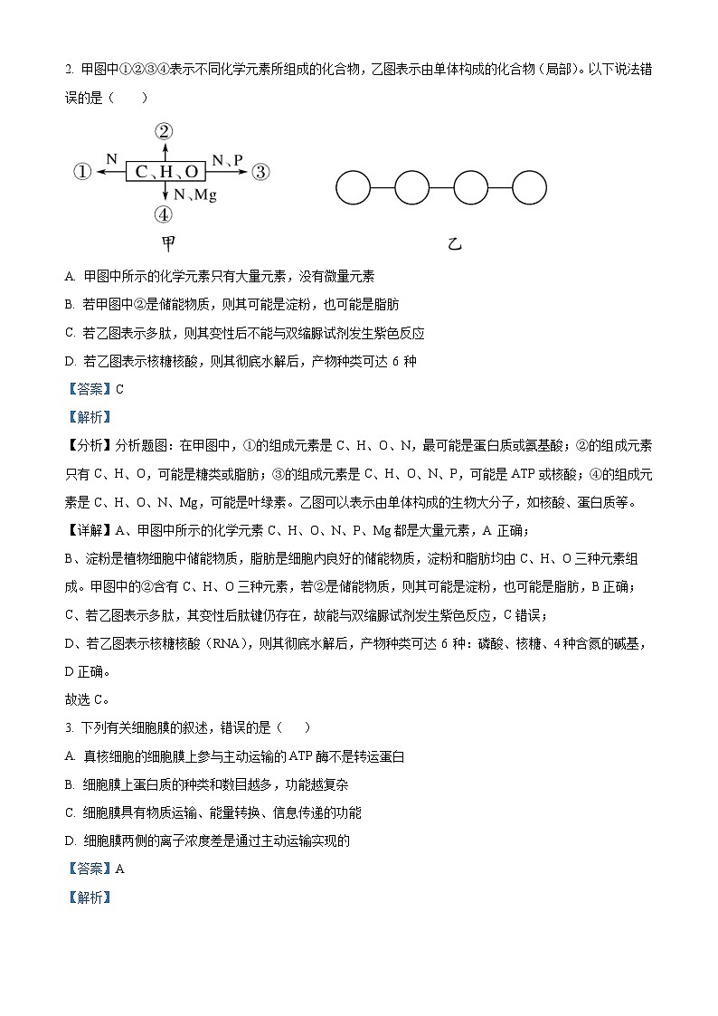 2024银川唐徕中学高三上学期9月月考生物试题含解析02