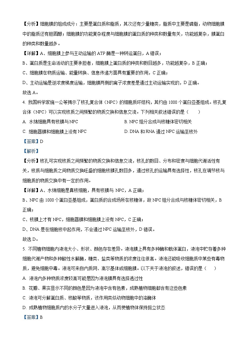 2024银川唐徕中学高三上学期9月月考生物试题含解析03