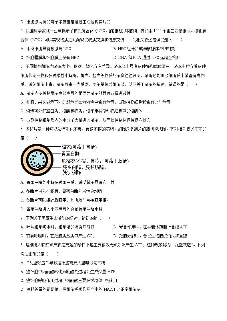 2024银川唐徕中学高三上学期9月月考生物试题含解析02