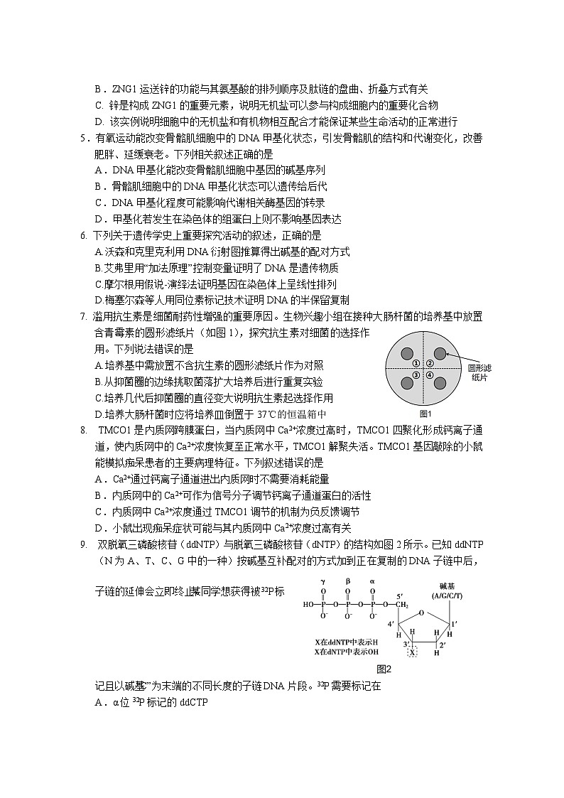 2024届高三级11月四校联考生物试题（11.3）第2页