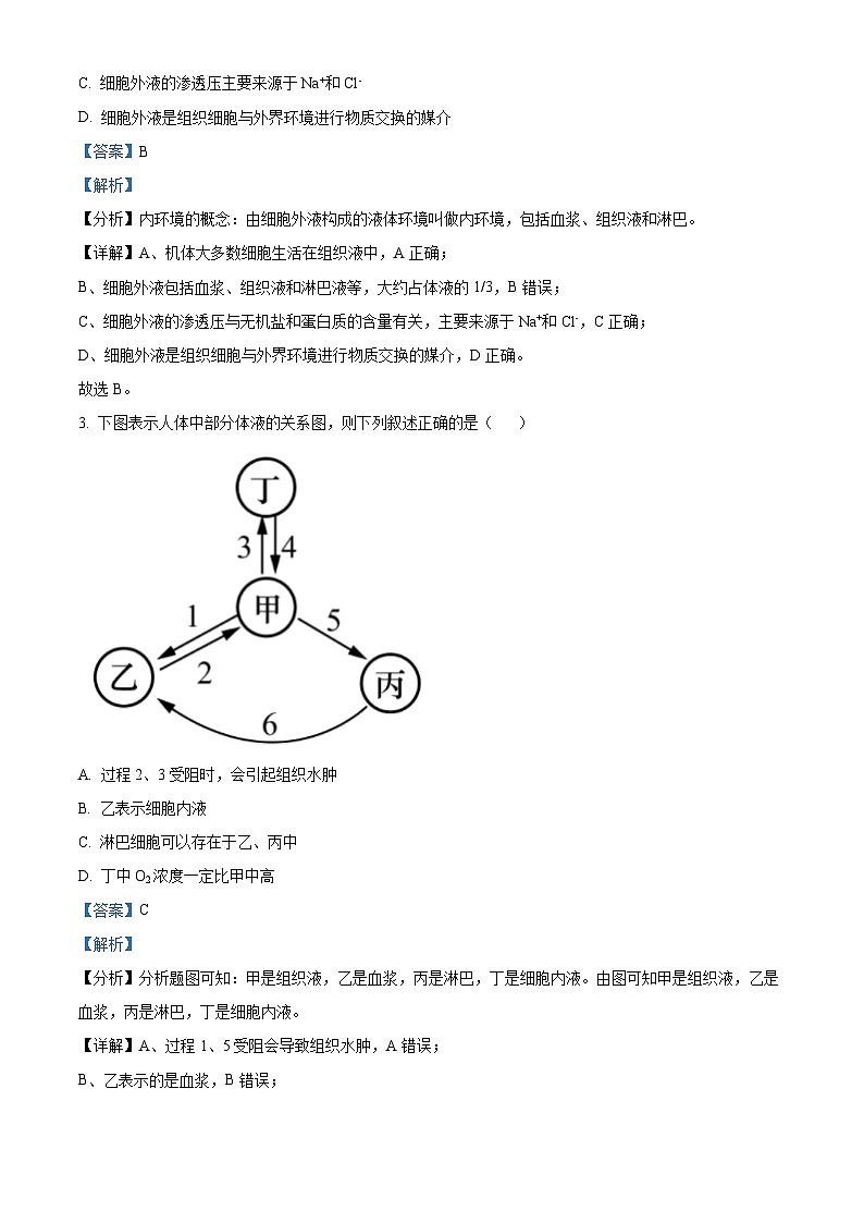 2024银川贺兰县景博中学高二上学期第一次月考生物试题含解析02