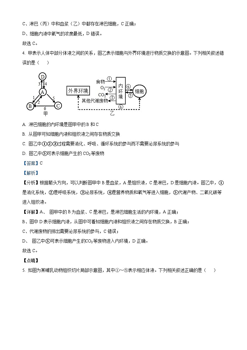 2024银川贺兰县景博中学高二上学期第一次月考生物试题含解析03