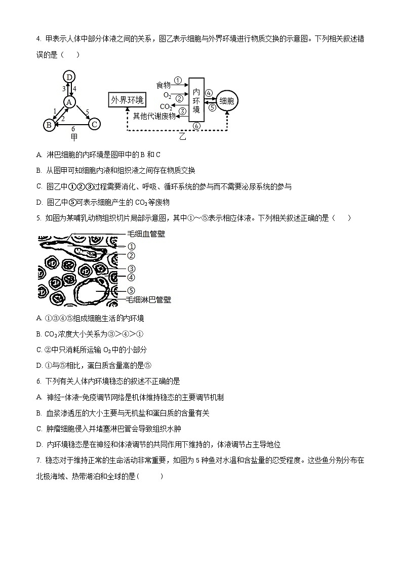 2024银川贺兰县景博中学高二上学期第一次月考生物试题含解析02