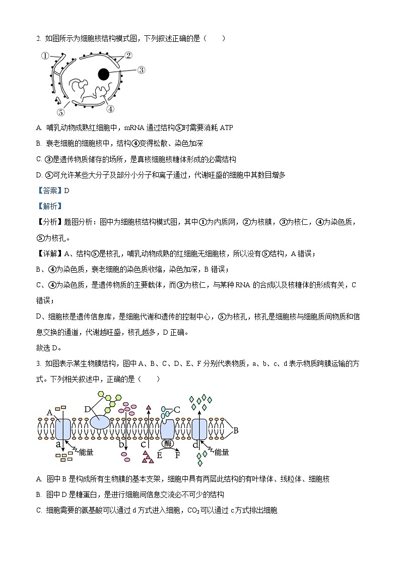 江苏省南京市第九中学2023-2024学年高二上学期10月月考生物试题含解析第2页