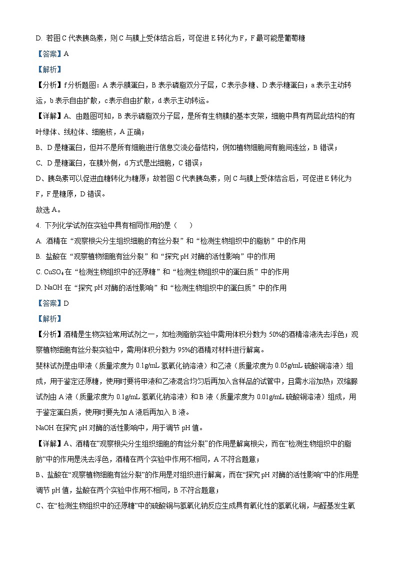 江苏省南京市第九中学2023-2024学年高二上学期10月月考生物试题含解析第3页