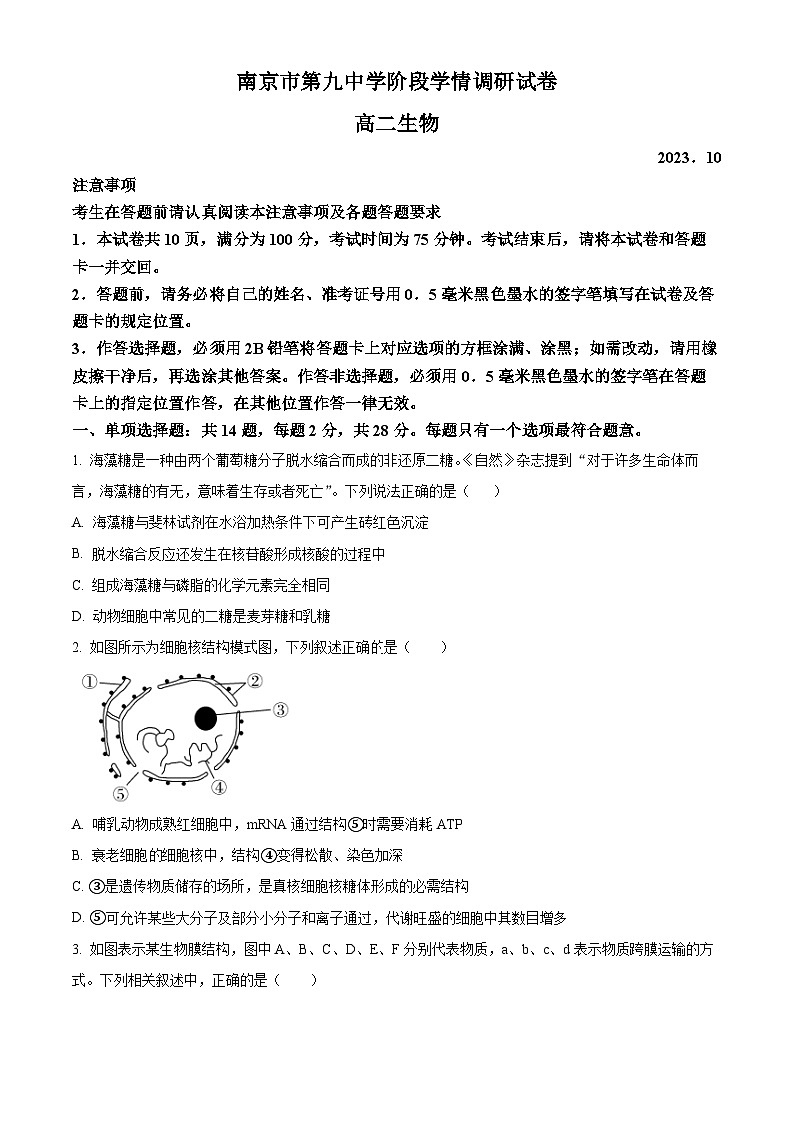 江苏省南京市第九中学2023-2024学年高二上学期10月月考生物试题（原卷版）第1页