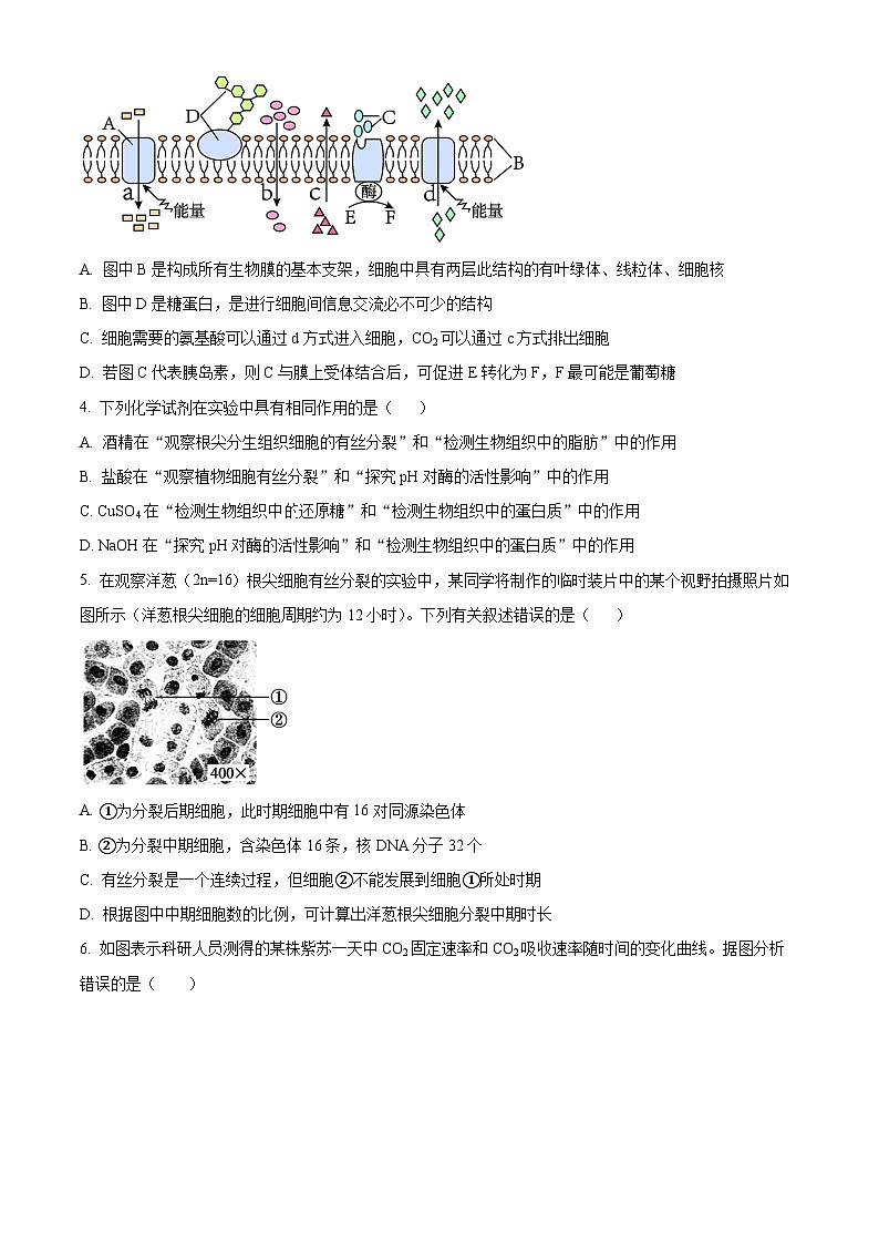 江苏省南京市第九中学2023-2024学年高二上学期10月月考生物试题（原卷版）第2页