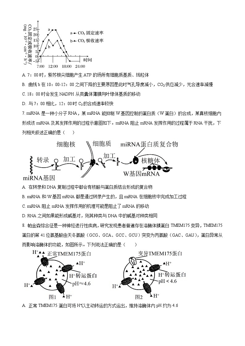 江苏省南京市第九中学2023-2024学年高二上学期10月月考生物试题（原卷版）第3页