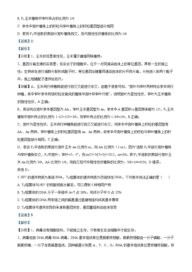 2024石河子一中高二9月月考生物试题含解析03