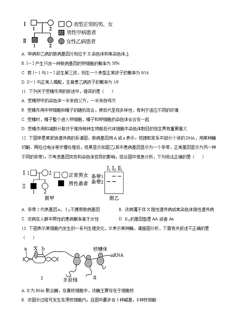 2024石河子一中高二9月月考生物试题含解析03