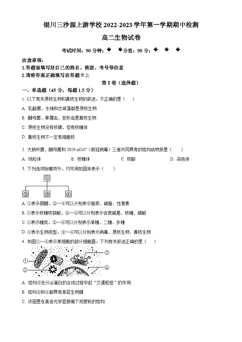 宁夏银川三沙源上游学校2022-2023学年高二上学期11月期中生物试题无答案第1页