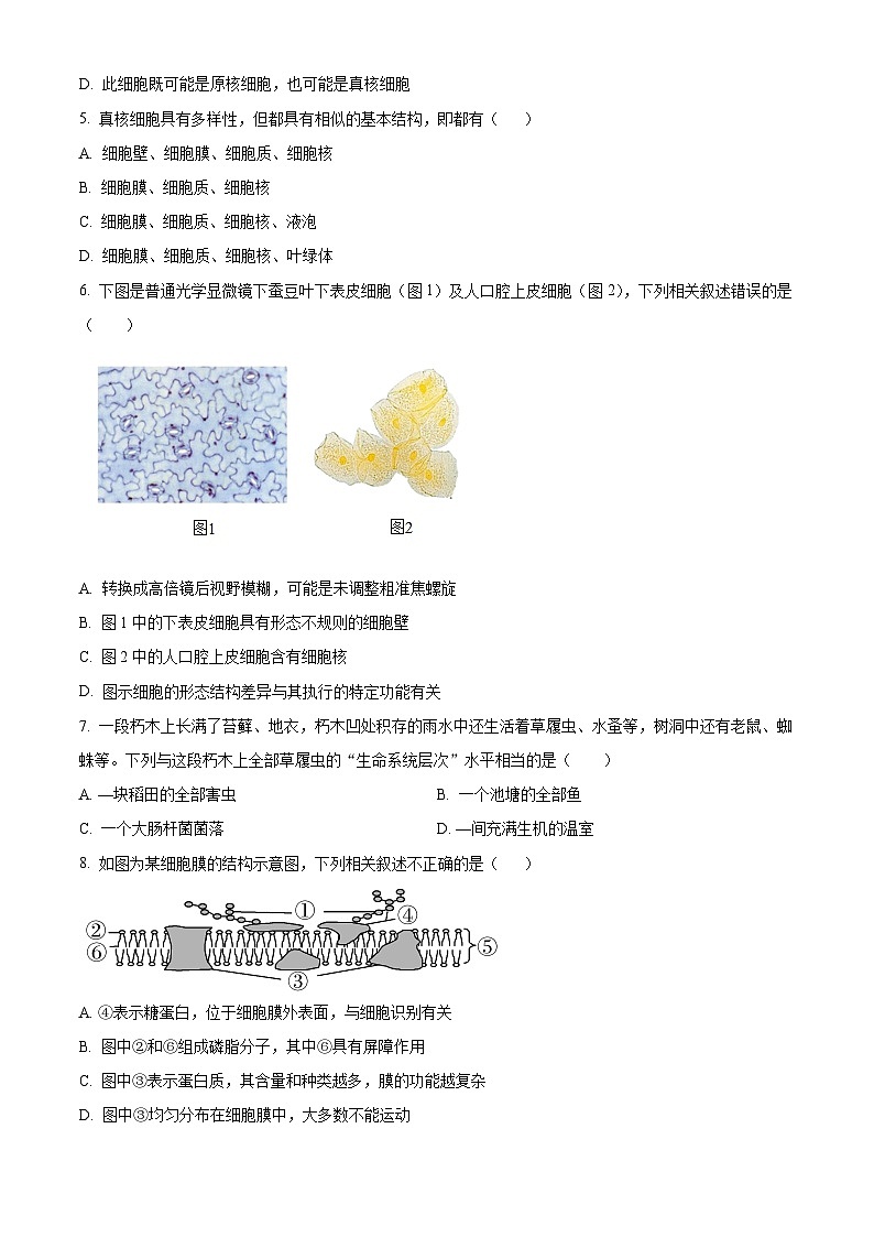 宁夏银川三沙源上游学校2022-2023学年高二上学期11月期中生物试题无答案第2页