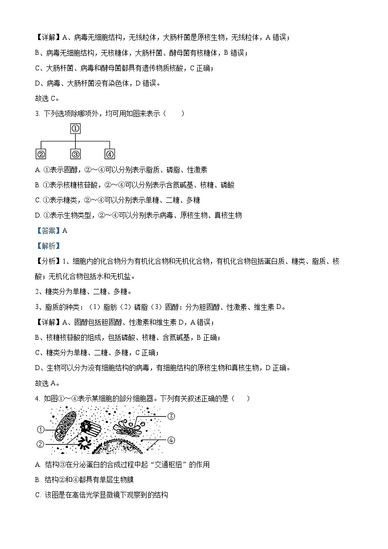 宁夏银川三沙源上游学校2022-2023学年高二上学期11月期中生物试题含解析第2页