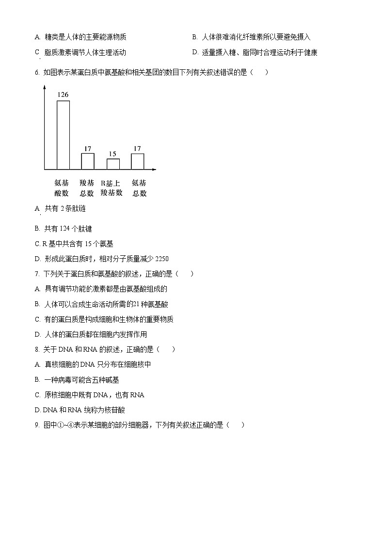 北京市首都师范大学附中2023-2024学年高一生物上学期期中考试试卷（Word版附解析）02