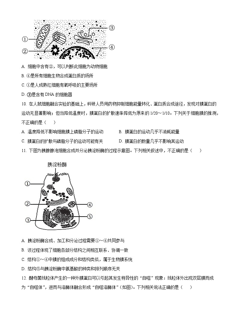 北京市首都师范大学附中2023-2024学年高一生物上学期期中考试试卷（Word版附解析）03