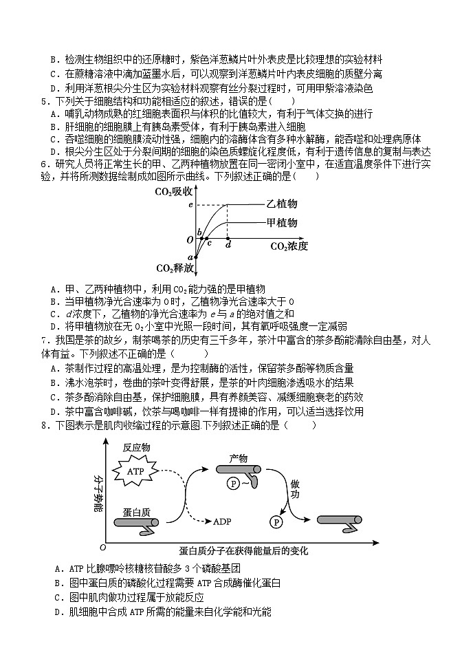福建省“宁化、永安、尤溪、大田、沙县一中”五校协作2023-2024学年高三生物上学期11月联考试题（Word版附答案）02
