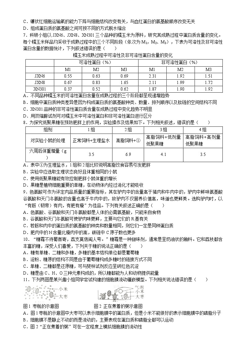 湖北省鄂东南省级示范高中教育教学改革联盟学校2023-2024学年高一上学期期中联考生物试题（Word版附答案）02