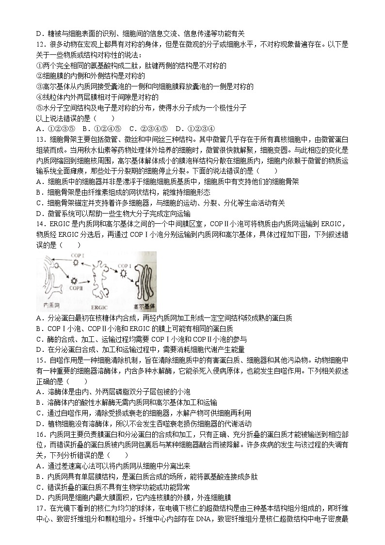 湖北省鄂东南省级示范高中教育教学改革联盟学校2023-2024学年高一上学期期中联考生物试题（Word版附答案）03