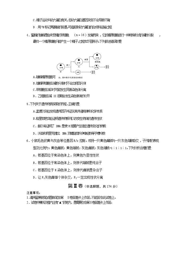 四川省遂宁市2024届高三生物上学期零诊考试试题（Word版附答案）第2页