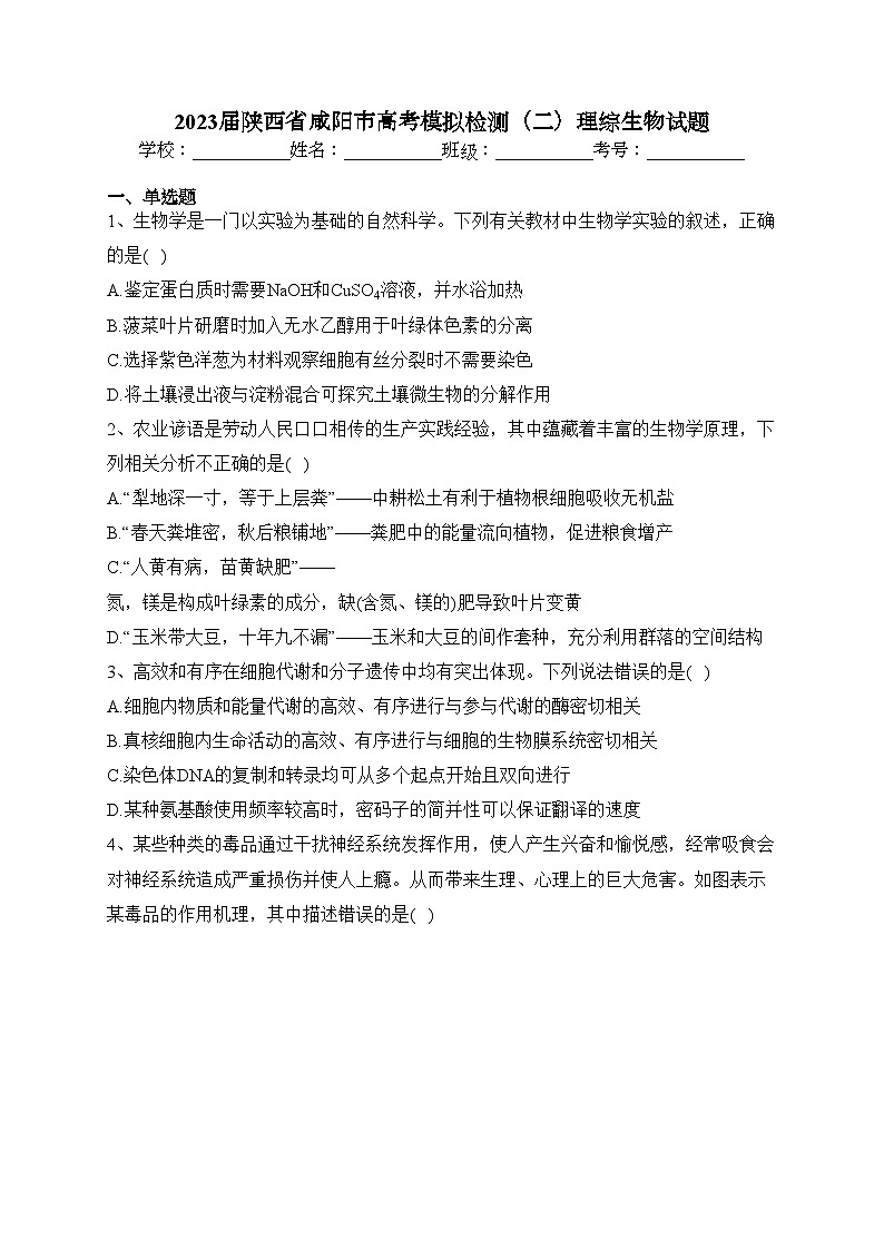 2023届陕西省咸阳市高考模拟检测（二）理综生物试题(含答案)01