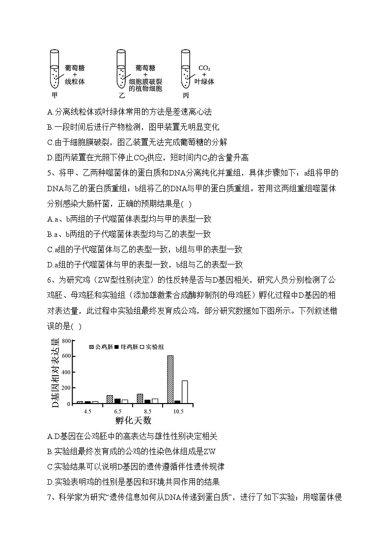 2024届吉林省长春市高三质量监测（一）生物试题(含答案)02