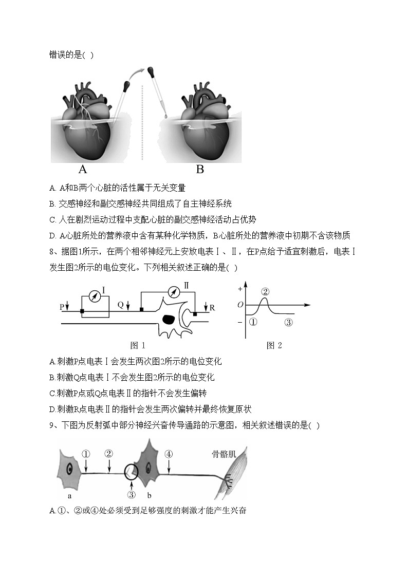 甘肃省武威市天祝一中、民勤一中、古浪一中等四校联考2023-2024学年高二上学期期中考试生物试卷(含答案)03