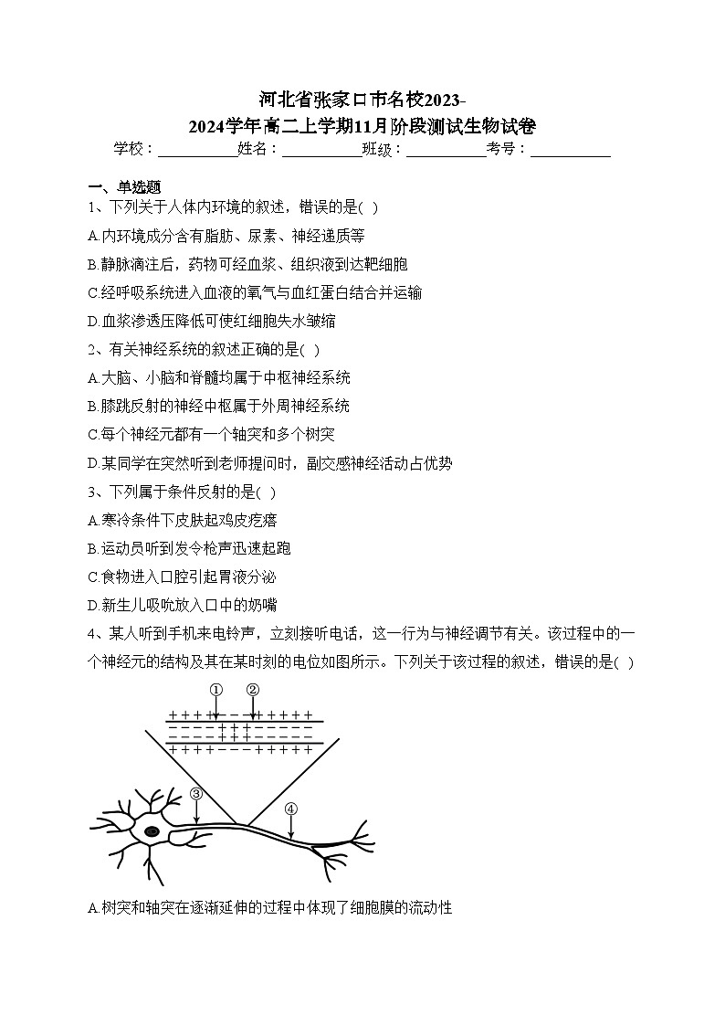 河北省张家口市名校2023-2024学年高二上学期11月阶段测试生物试卷(含答案)01