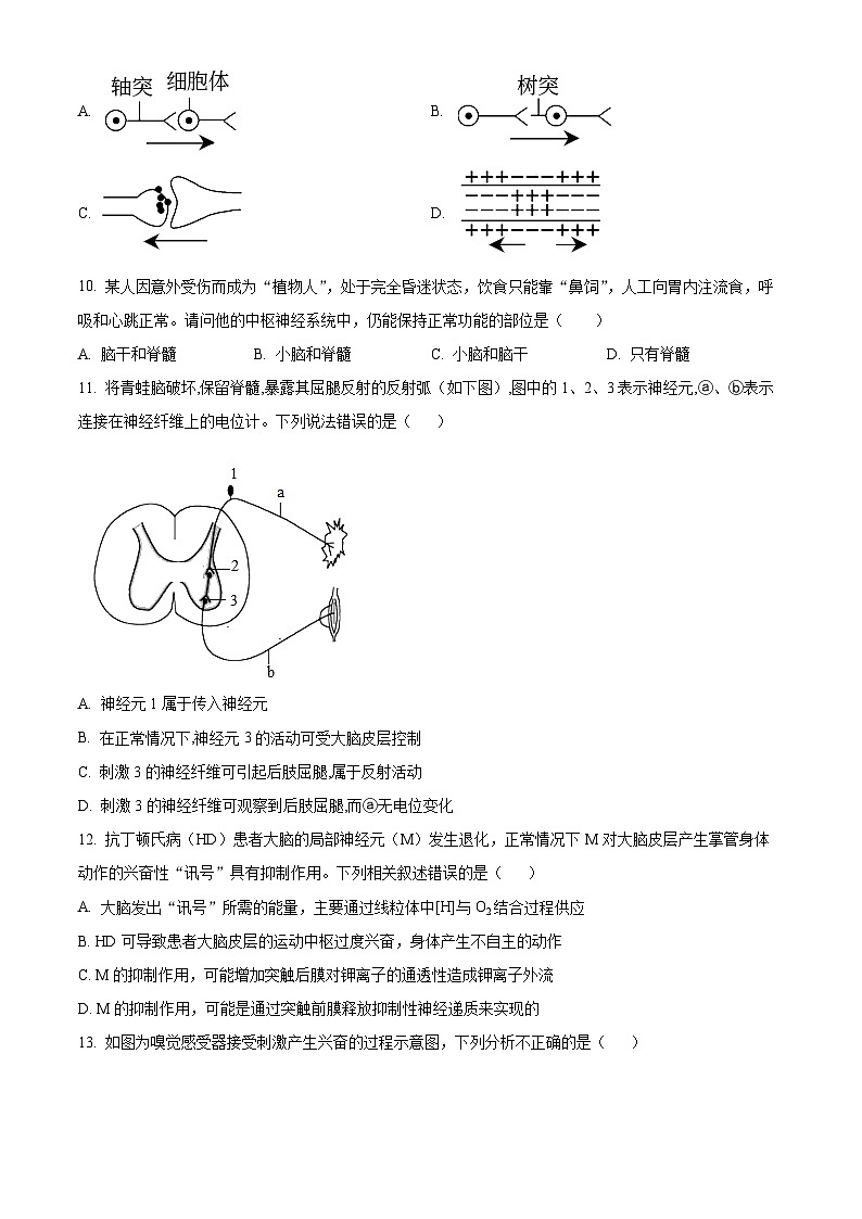 内蒙古赤峰市红山区赤峰第四中学2023-2024学年高二上学期11月期中生物试题无答案第3页