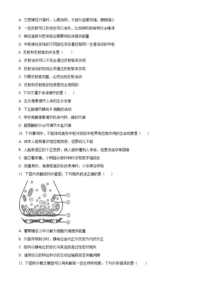 2024赤峰二中高二上学期10月月考生物试题含解析02