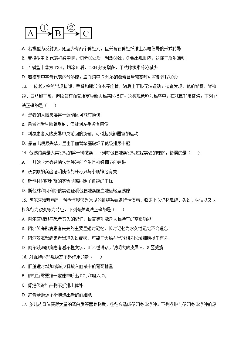 2024赤峰二中高二上学期10月月考生物试题含解析03