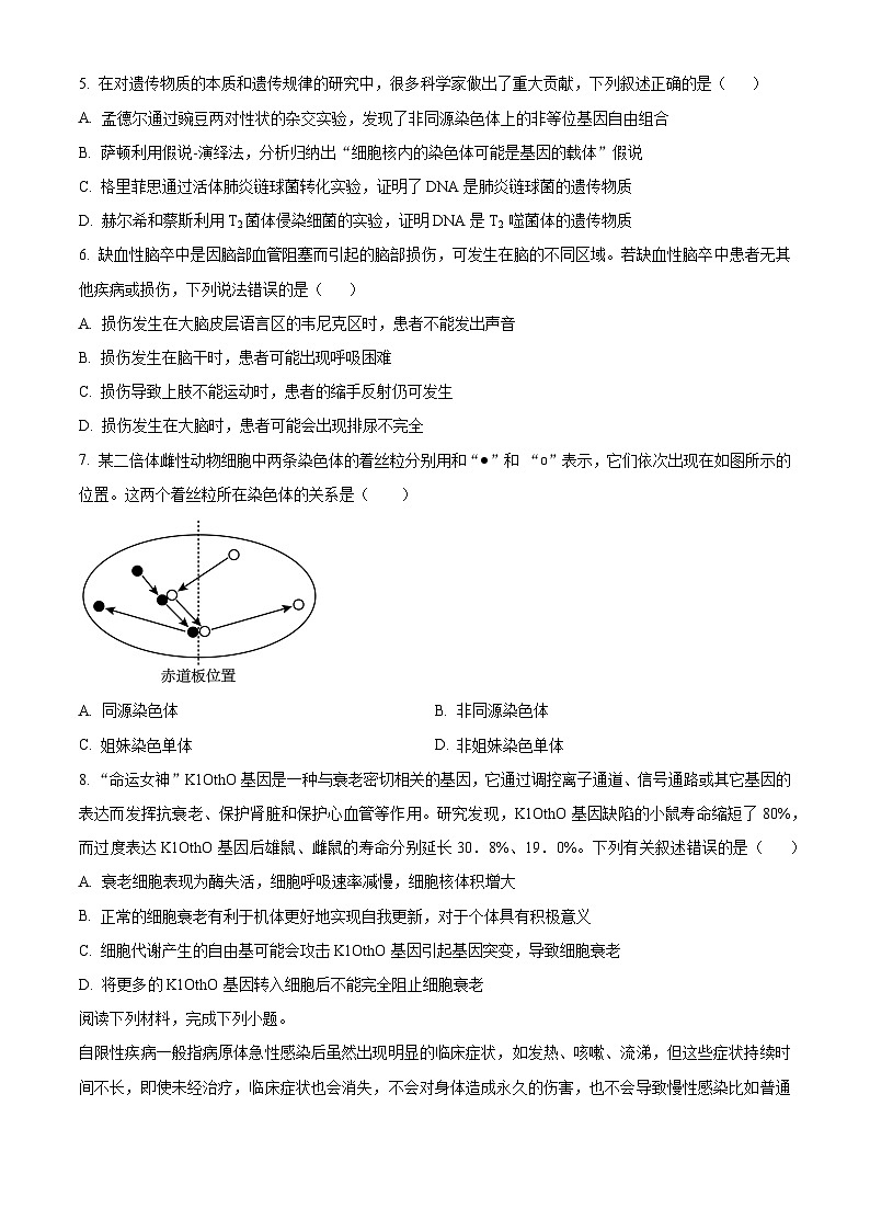 2024温州新力量联盟高二上学期期中联考试题生物含解析02