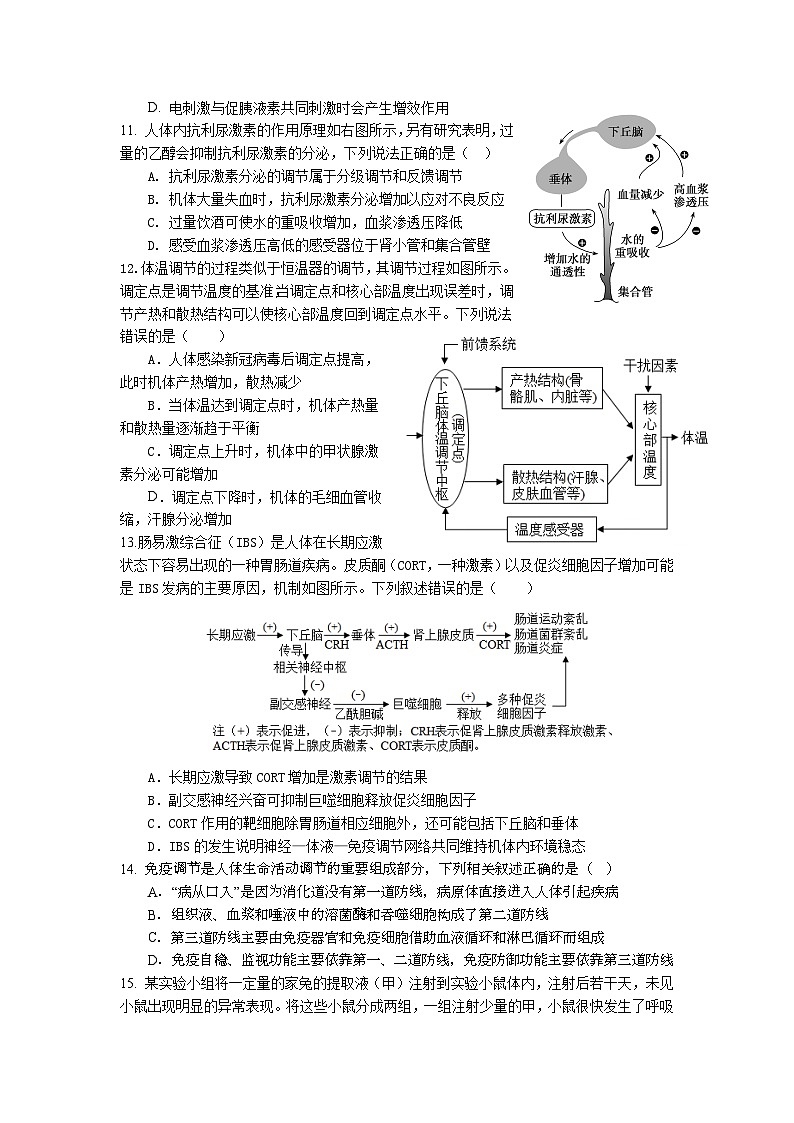 2024湖北省荆荆襄宜七校考试联盟高二上学期期中联考试题生物含答案03